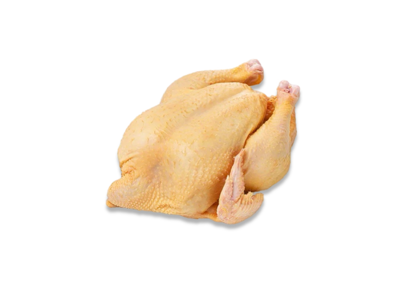 КУРИЦА ДОМАШНЯЯ 